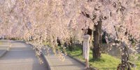 【福島】傷心の乙女たちへ。さぁひとり旅に出よう！サッと元気になれちゃうスポット7選