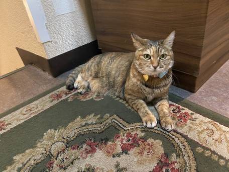 ホテル ダイキ / 3