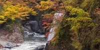 三名山のひとつ白山！石川県白山市で自然を感じる観光スポット10選