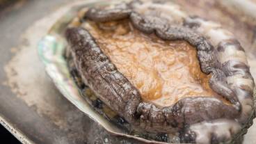 食事・飲み物 / 11