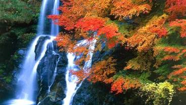 観光スポット / 18