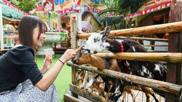 子供向けアクティビティ / 11