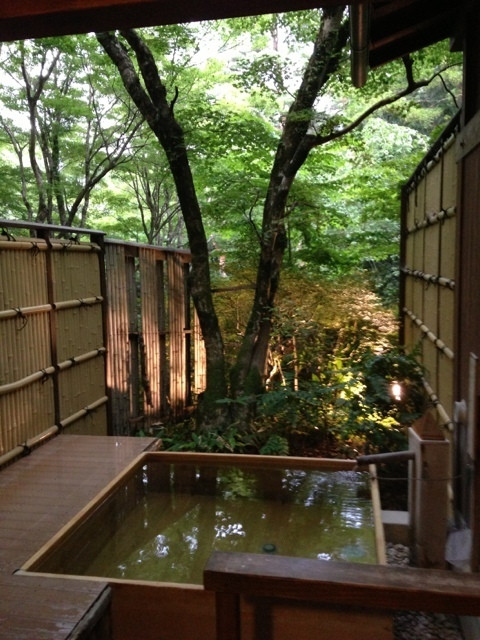 箱根小涌谷温泉 水の音(ハコネコワクダニオンセン ミズノト) / 3