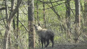 施設の敷地 / 18