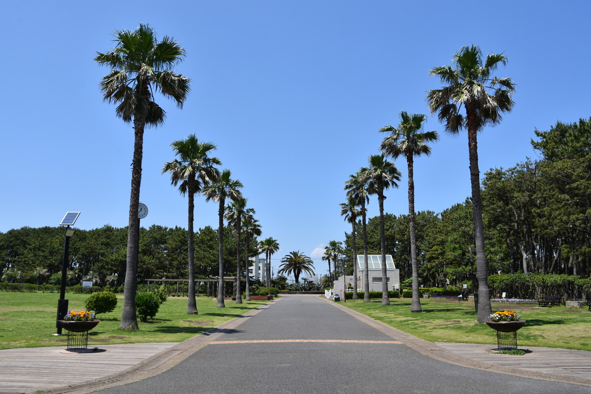 辻堂海浜公園