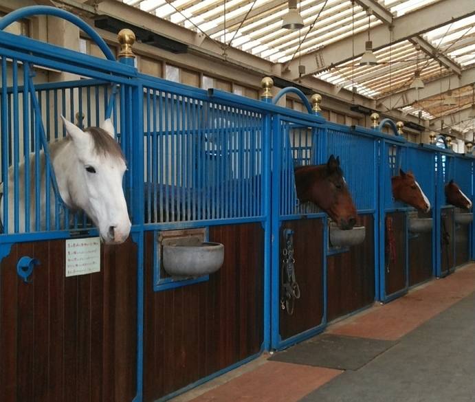 那須ファームビレッジ② / 4