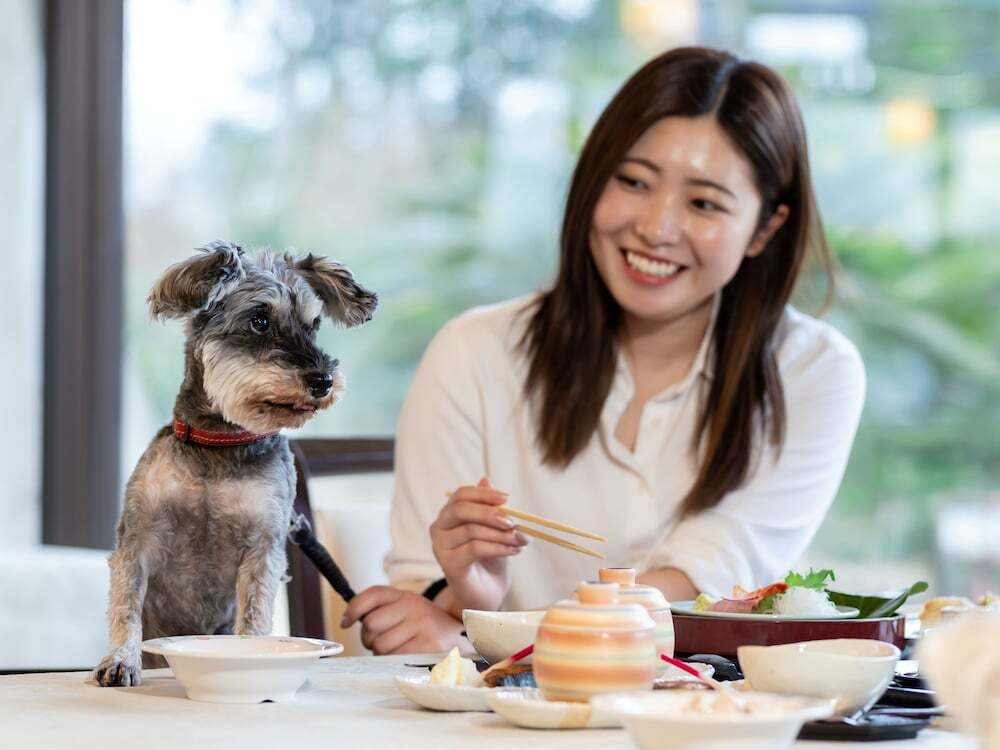 ペット用設備・サービス