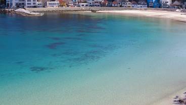 観光スポット / 1