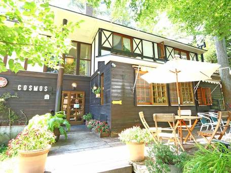 FOREST RESORT COSMOS / 1