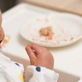 京都の夜を彩る
夕食を味わう / 3