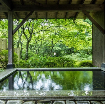 美しい庭園と共に、大正時代の風情を伝える強羅の老舗宿3410776