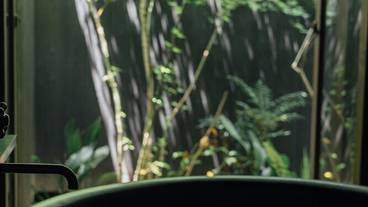 バスルーム / 14