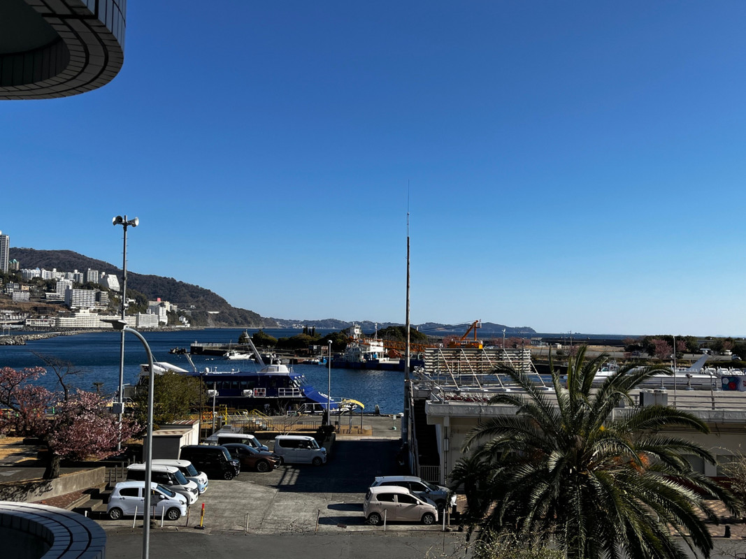 目の前は熱海港