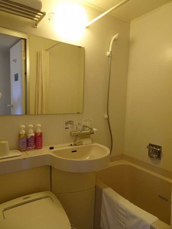 標準的なバスルーム、ちょっと古い。