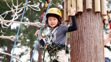 ロープ コース (チーム ビルディング用) / 5