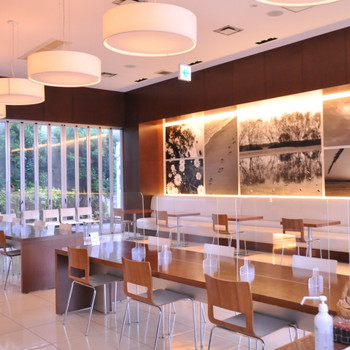 駅近の快適ホテルでひとり旅を楽しもう3515805