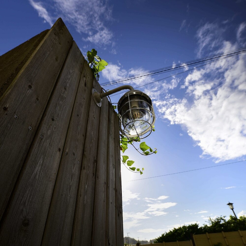 メイン イメージ