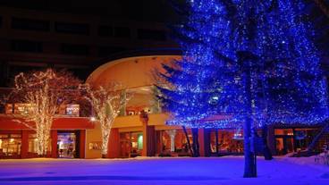 中庭のイルミネーション / 17