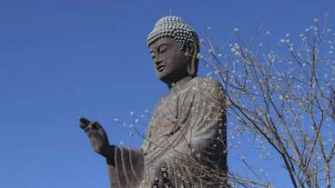 観光スポット / 17