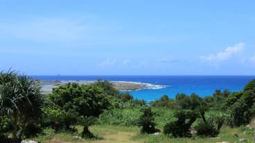 施設からの眺望 / 17