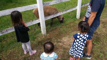 観光スポット / 11