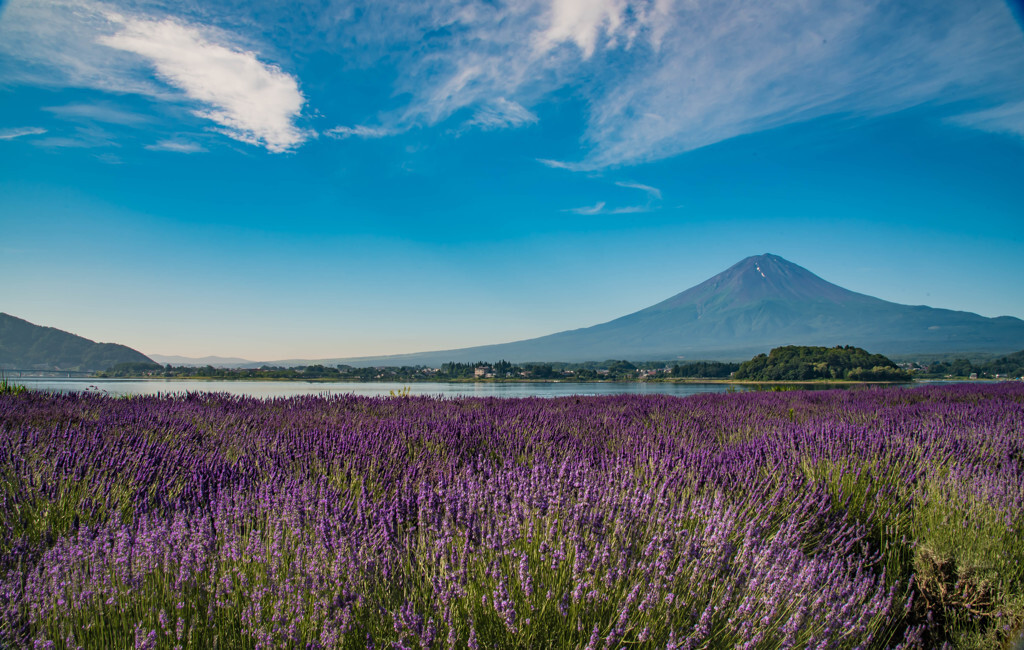 河口湖は、東京からサクッと遊びに行ける旅スポット3695657