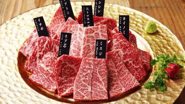 レストラン / 12