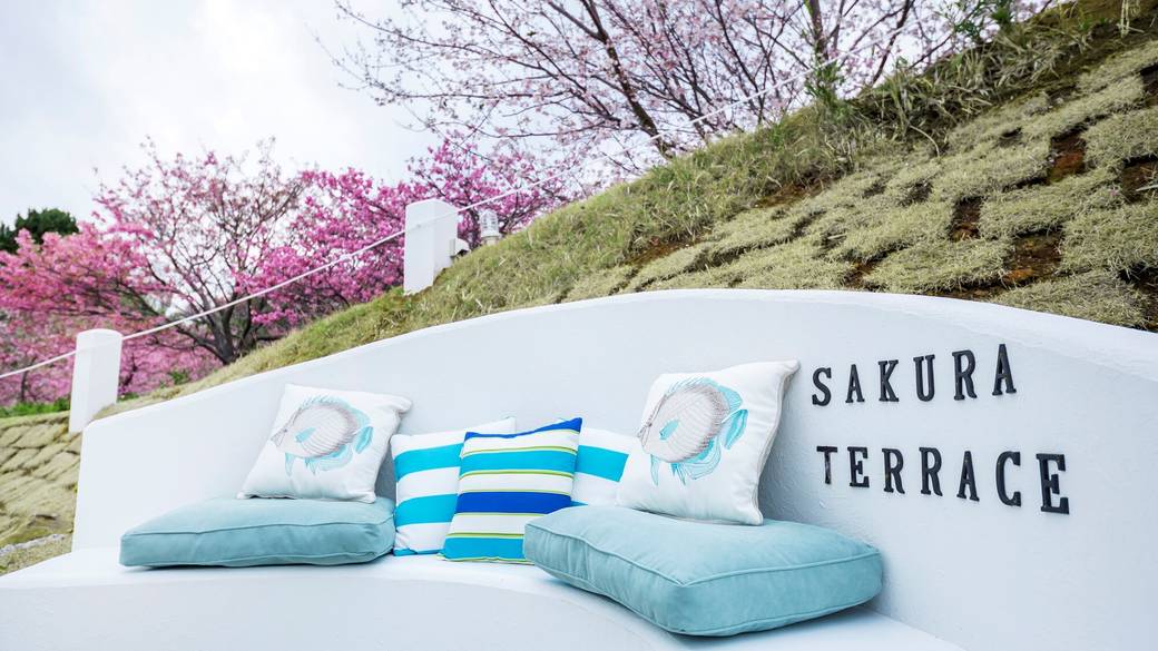 敷地内には
楽しいスポットが充実 / 1