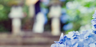 雨の日のおでかけ特集【2016年版】