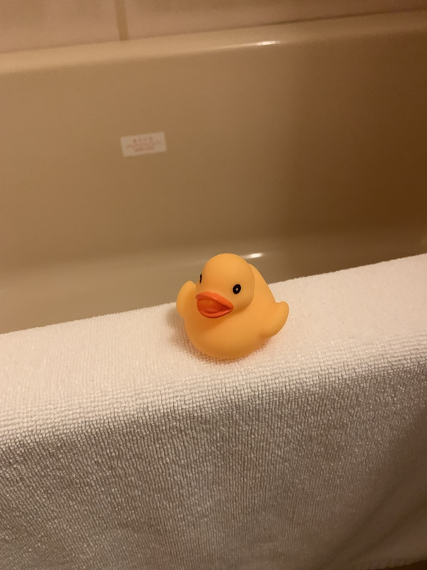 可愛いヒヨコがお出迎え