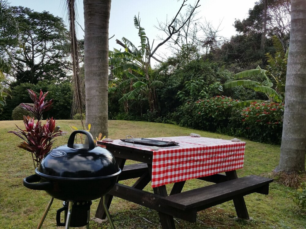 バーベキュー / ピクニック エリア