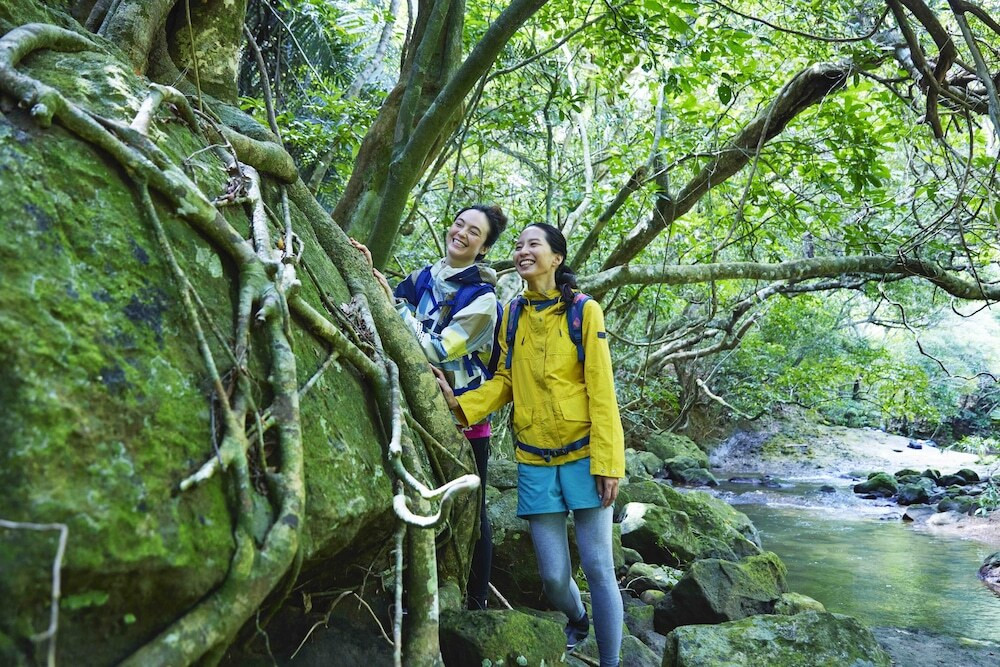 亜熱帯の森トレッキング