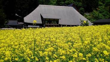 施設の敷地 / 14