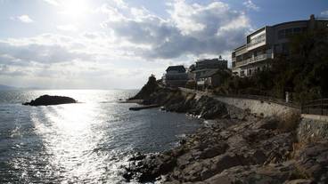 施設からの眺望 / 14