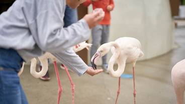 子供用の遊び場 - 屋外 / 28