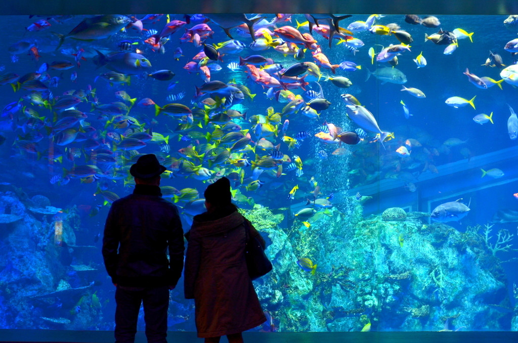 ゆったり鳥羽旅行で彼との仲を深める3907185