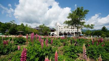 施設からの眺望 / 27