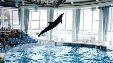 観光スポット / 6