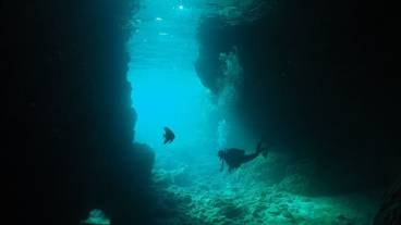 サーフィン / ボディボード / 3