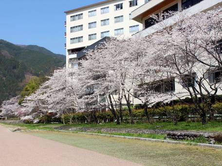 飛騨川沿いに佇む丹心の老舗宿 下呂温泉山形屋 / 4