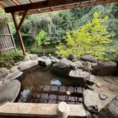 菊池渓谷温泉 岩蔵（熊本県 旅館） / 3