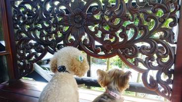 施設の敷地 / 12