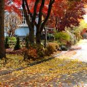 家庭料理とオリジナル デザートが自慢のペンション いる える（山梨県 ペンション） / 2