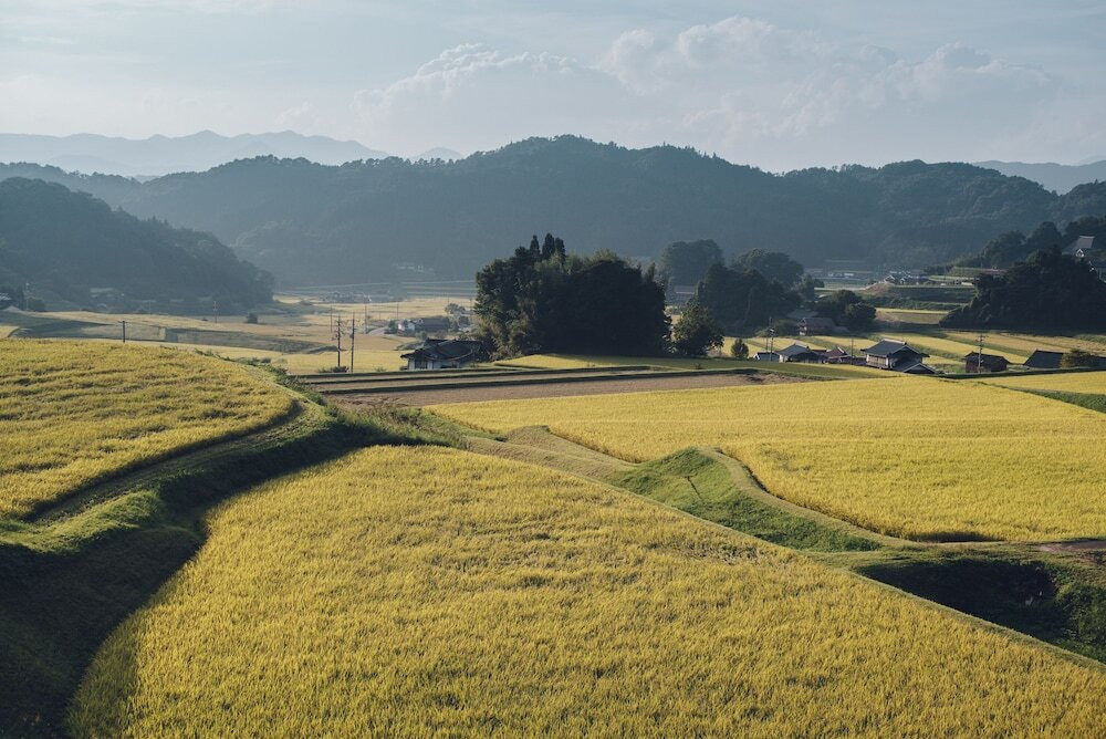 施設からの眺望