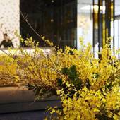 ヴィラフォンテーヌプレミア羽田空港（東京都 シティホテル） / 2