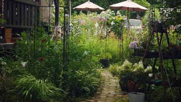 施設の敷地 / 14