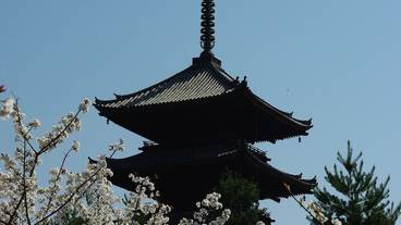 観光スポット / 12