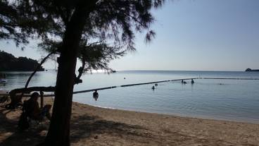 観光スポット / 8