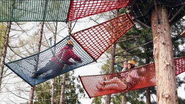 ロープ コース (チーム ビルディング用) / 9