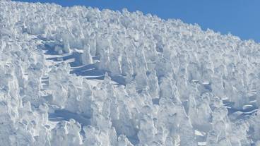 スノー スポーツとスキー / 29